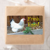 生卵 ラベル (インサイチュ)