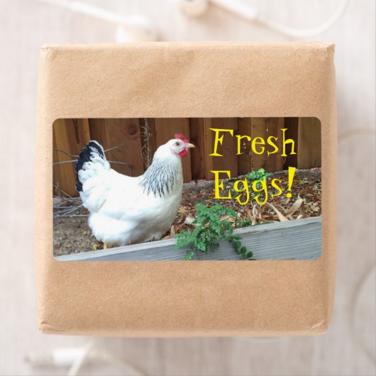 生卵 ラベル (インサイチュ)