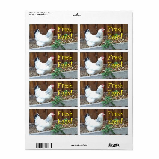 生卵 ラベル (フルシート)