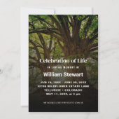 生命お祝い |モダン葬式 招待状 (正面)