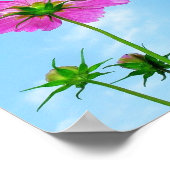 生命に関する到達 ポスター (角)