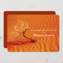 生命のお祝い、燃えるような赤い砂の中の単独の木