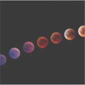 生命のよう太陽のな系の惑星 シール (正面)