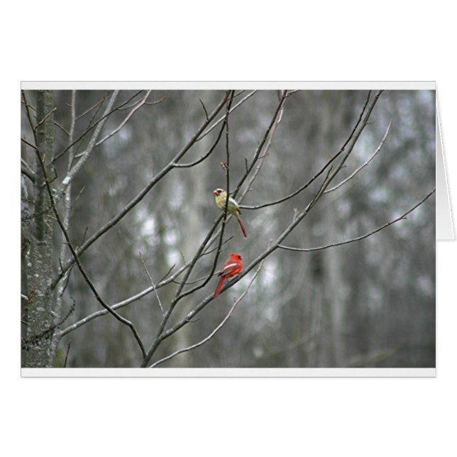 生命の仲間 (正面横)