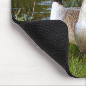 生命の仲間 マウスパッド (コーナー)