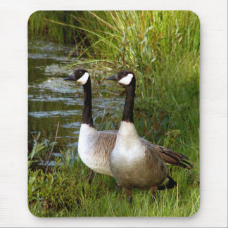 生命の仲間 マウスパッド