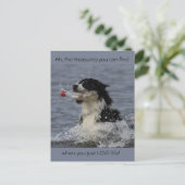 生命の宝、はがき ポストカード (スタンド正面)