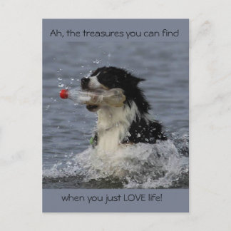 生命の宝、はがき ポストカード