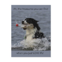 生命の宝、はがき