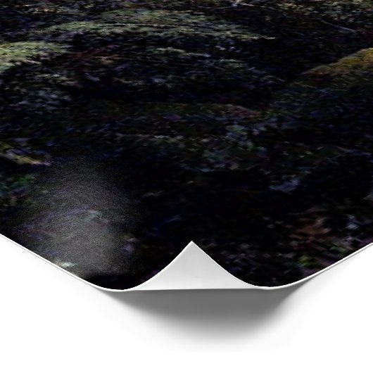 生命の川であるフレデリック教会 ポスター (コーナー)