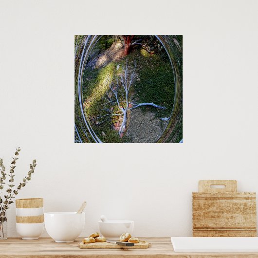 生命の循環….. ポスター (キッチン)