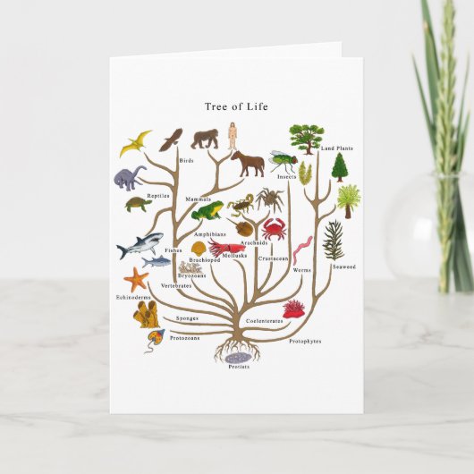 生命の木 カード (正面)