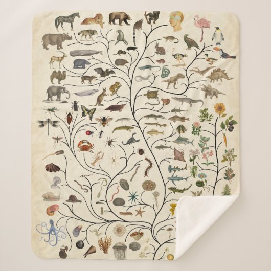 生命の木 シェルパブランケット (正面)