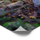 生命の木 ポスター (角)