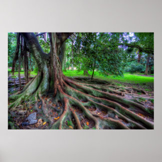 生命の木 ポスター