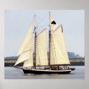 生命の木 ポスター