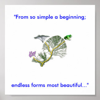 生命の木 ポスター