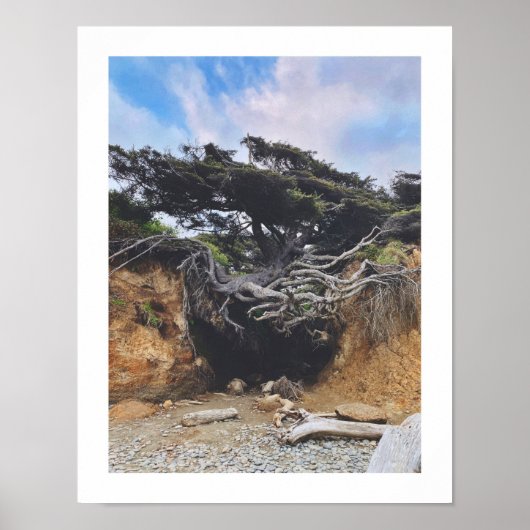 生命の木 ポスター (正面)