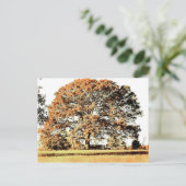 生命の木 ポストカード (スタンド正面)