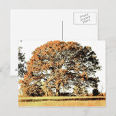 生命の木 ポストカード (正面/裏面)