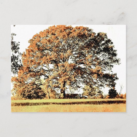 生命の木 ポストカード (正面)