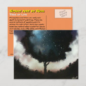 生命の木 ポストカード (正面/裏面)