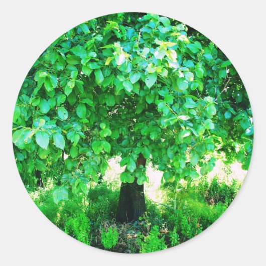 生命の木 ラウンドシール (正面)