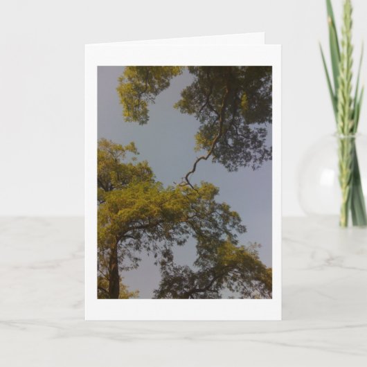 生命の樹は長く住んでいましたり及び繁栄します カード (正面)