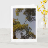 生命の樹は長く住んでいましたり及び繁栄します カード (黄色い花)