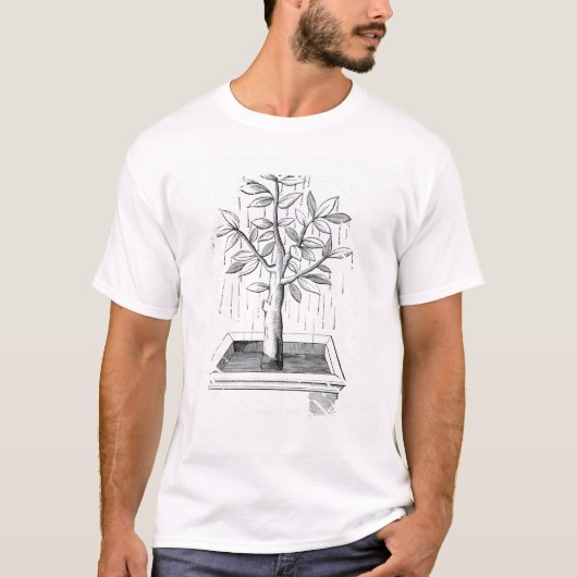 生命の樹、か泣く木 Tシャツ (正面)