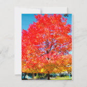 生命の火，明るい，カラフル秋の木 ノートカード (正面)