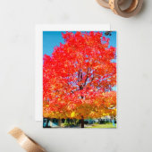 生命の火，明るい，カラフル秋の木 ノートカード (正面/裏面インサイチュ)