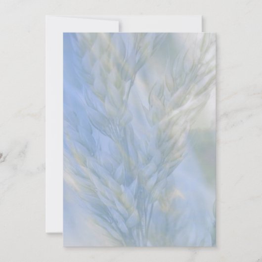 生命の種 (正面)