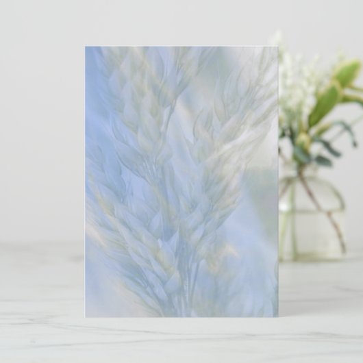 生命の種 (スタンド正面)