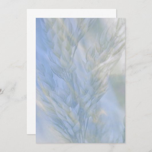 生命の種 (正面/裏面)