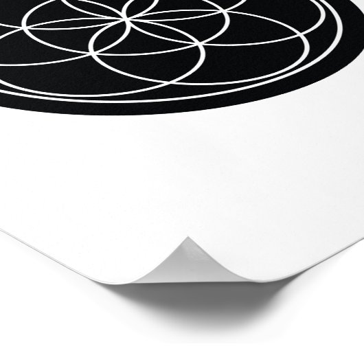 生命の種 ポスター (角)