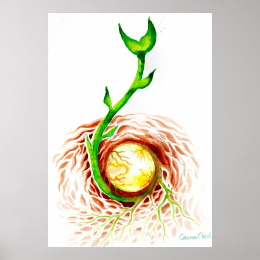 生命の種 ポスター (正面)