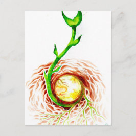 生命の種 ポスター キャンバスプリント ポストカード