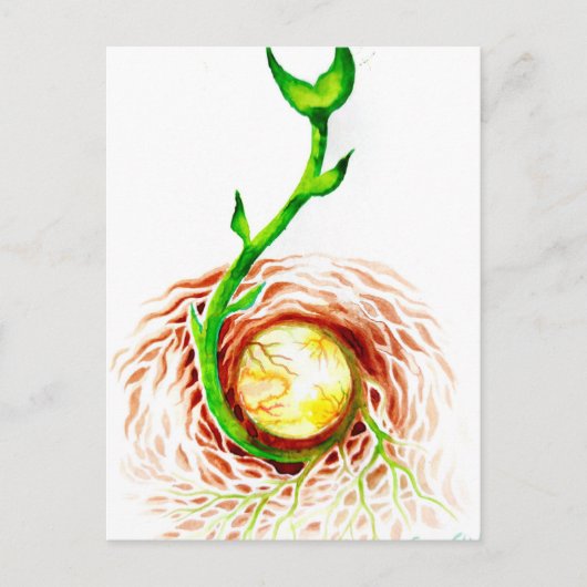 生命の種 ポスター キャンバスプリント ポストカード (正面)