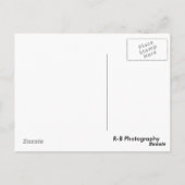 生命の精神 ポストカード (裏面)