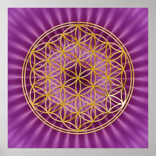 生命の花 |金ゴールド、マゼンタシャイン ポスター (正面)