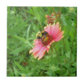 生命の蜜 タイル (正面)