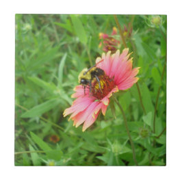 生命の蜜 タイル