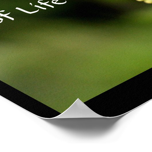 生命の蜜 ポスター (角)