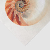 生命の貝 薄葉紙 (詳細)