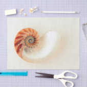 生命の貝 薄葉紙 (クラフト)