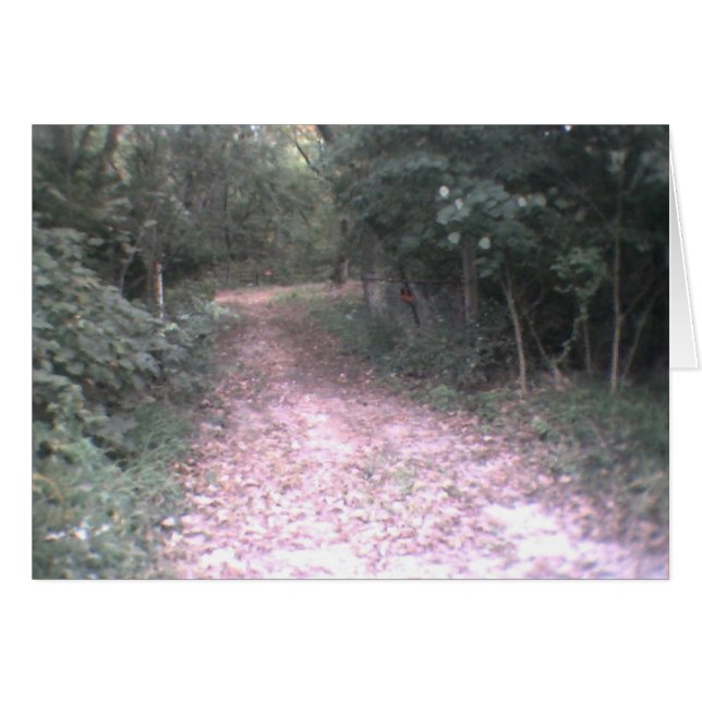 生命の道 (正面横)