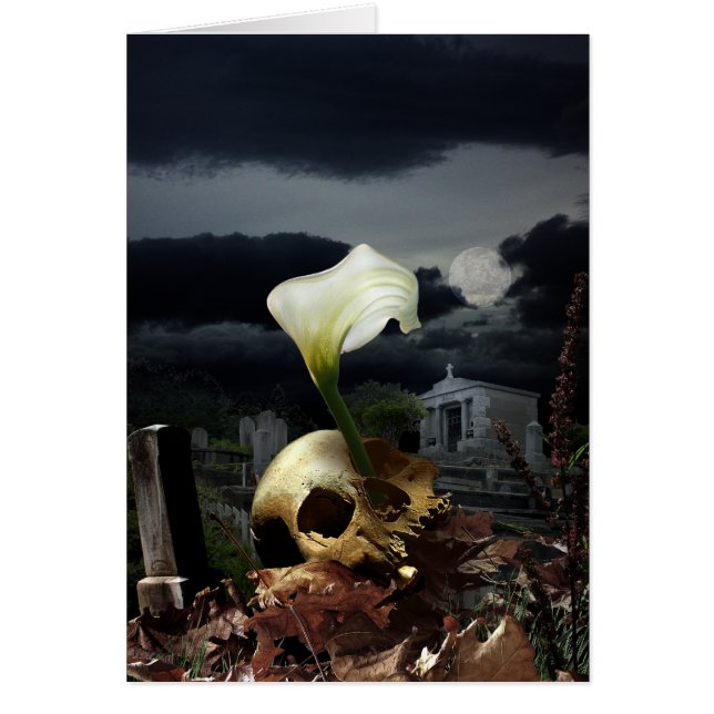 生命のCyrcle (正面)