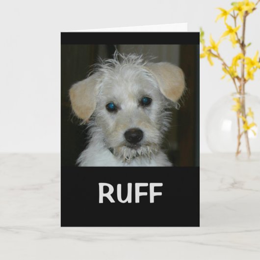 生命はあなたのような友人なしにエリマキシギです カード (黄色い花)