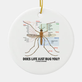 生命はちょうど煩わせますか。 (カの解剖学) セラミックオーナメント